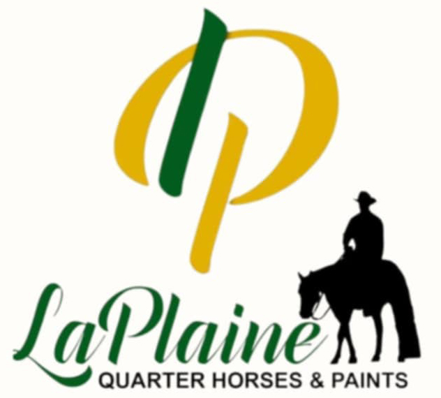 LaPlaine