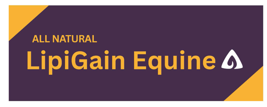 EXL Logo - LipiGain - High Resolution Print