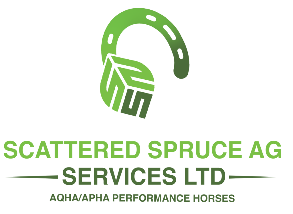 Scattered Spruce