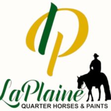 LaPlaine