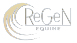 Regen logo cropped